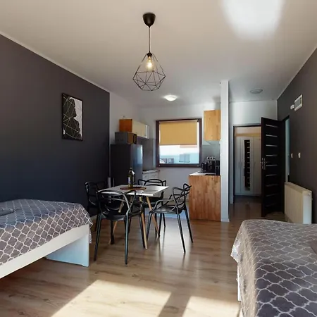 Apartmán Fibra Flat White Rybnik (Silesia)