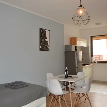 Fibra Flat White Appartement Rybnik (Silesia)